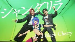 シャングリラ / Acid Black Cherry - Covered by MaiR＆MELOGAPPA