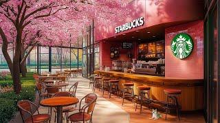 スターバックスでの甘美で夢のようなジャズ音楽と桜 : リラックスした心を取り戻す癒しの時間Starbucks Study & Work Music in Dreamy Coffee  bgm 2月