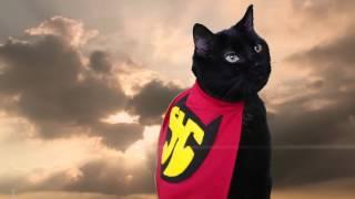 Super Hero Cat (Official Music Video) - N2 the Talking Cat S2 Ep18