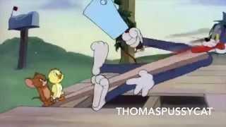 Tom and Jerry YouTube Poop: Mama Tom