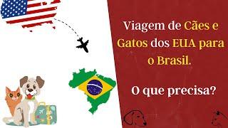 Viagem de Cães e Gatos dos EUA para o Brasil. O que precisa? - Dica#33