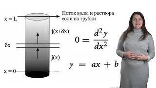 Lecture 27 How Adolf Fick invent his theory