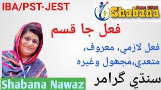 Verb Kinds of Verb/Sindhi Grammar/Basic Grammar/Shabana Nawaz Official