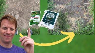 Pennington Kentucky 31 Grass Seed and Scotts Turf Builder-Does it work?