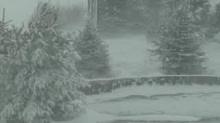 Epic Snowstorm | Howling Blizzard Sounds | Heavy Wind & Snow | Perfect Sounds For Sleep