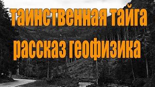 Таинственная тайга. Рассказ геофизика. Страшилки на ночь. мистика рядом с нами