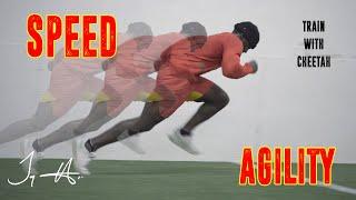 Speed & Agility: Training Session | Tyreek Hill | "Train with Cheetah"