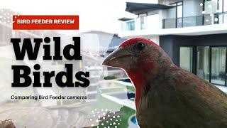 Bird Feeder Camera Review Netvue vs. Bird Buddy | How To Capture Birds In Your Back Yard