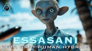 Sassani Extraterrestrials | Zeta Reticulan-Human Hybrids | First UFO Abduction of 1961