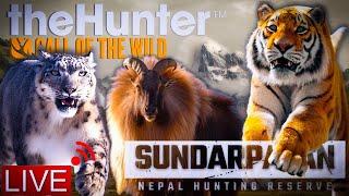 Let's get some TIGER trophies on Pc! + Checking one of my fresh maps | theHunter: Call of the Wild