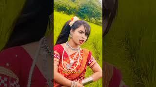 Sambalpuri tik tok video | Sambalpuri tik tok | Sambalpuri tik tok Status | #viral #shorts