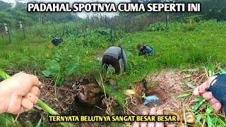 PADAHAL TEMPATNYA CUMA SEPERTI INI TERNYATA SARANGNYA BELUT BESAR BESAR