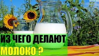 Из чего делают современное молоко?