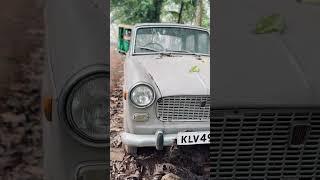 Fiat Premier Padmini #fiat #premierpadmini #fiatpadmini #padmini #restoration #shorts #trending #car