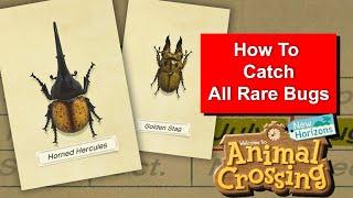 How to Catch Golden Stag, Hercules Beetle and all Rare Bugs in Animal Crossing New Horizons