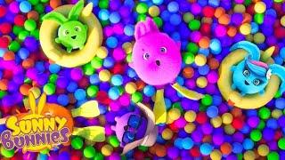 Colourful Swimming Pool | Sunny Bunnies | Cartoons for Kids | WildBrain Enchanted