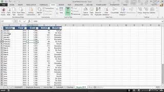 Filter an excel list using the autofilter tool