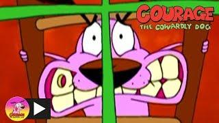 Courage the Cowardly Dog | A Bad Night's Sleep | Cartoon Network