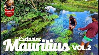 Mauritius - Shrimp in Paradise. Exclusive shrimp discovery !!