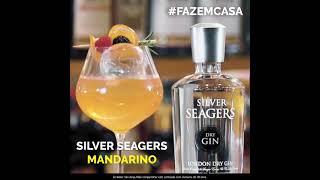  Drink Silver Seagers Mandarino