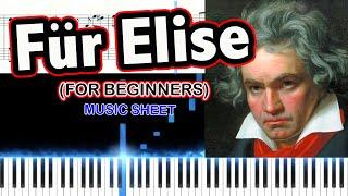 Fur Elise arrangement for Beginners (Demo)