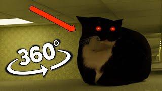 Maxwell the cat in the Backrooms But It's 360 degree video