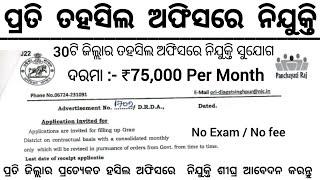 Odisha Tahasil Office Recruitment 2024 ! Salary Upto 75,000 Per Month ! Odisha Govt Jobs 2024