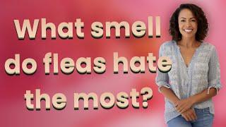 What smell do fleas hate the most?