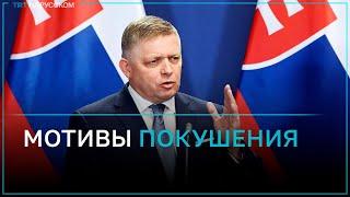 Стрелявший в премьер-министра Словакии: мне не нравится политика правительства