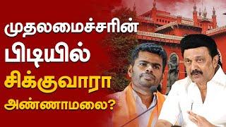 அண்ணாமலை மீது முதலமைச்சரின் முதல் ACTION!! | UPDATE NEWS 360