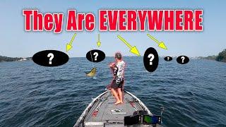 Do NOT Fish the River! | Final Tournament | Day Two #bassmastereliteseries