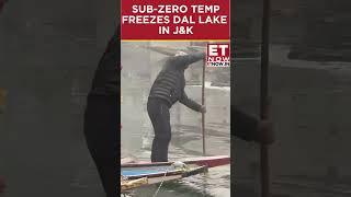 Cold Wave Hits Jammu & Kashmir: Dal Lake Freezing Amid Extreme Cold | #shorts