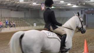 Reese & Cody AAYHS 2017 Eq