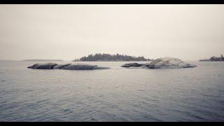 Panasonic Lumix S1h Cinematic Footage - Nature Ambience Fishing for Seatrout  Lumix s1h in Braw