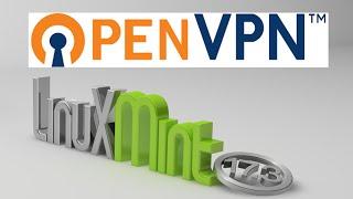 Install OpenVPN in Linux Mint / Ubuntu