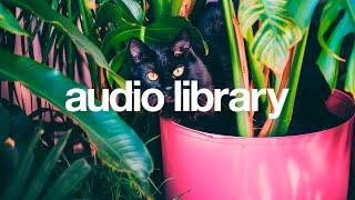 Home – SEUBi (No Copyright Music)