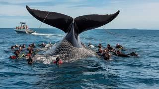 70 -Ton Whale BEGGED For Help! These Divers Risked EVERYTHING To Save Him...