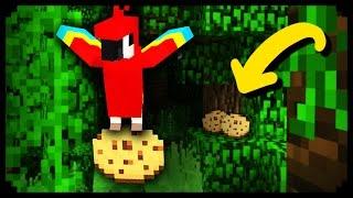  Minecraft: 10 Things You Didn't Know About Parrots