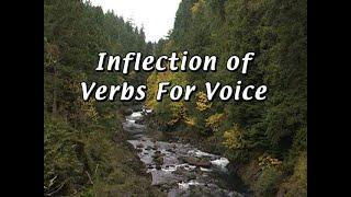 Inflection of Verbs in English Grammar: Active Voice and Passive Voice