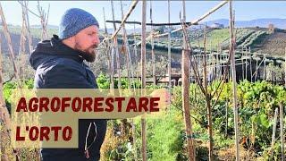 Orto in agroforestazione. Consociazione ortaggi e alberi da frutto antichi.