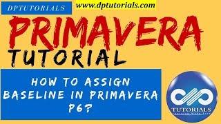 How to Assign Baseline in Primavera P6 || Primavera || dptutorials