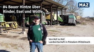 Von Hof zu Hof. Landwirtschaft in Potsdam-Mittelmark. Folge 4: Über Rinder, Esel und Wölfe.