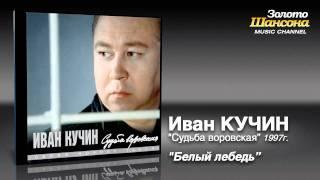Иван Кучин - Белый лебедь (Audio)