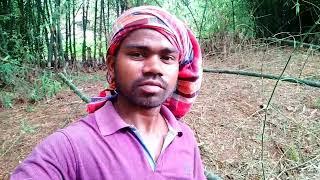 CHHUTI RE OLAH KORE KAMI|| Santali Vlog video||@VloggerSanatKumar