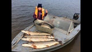 Рыбалка с Соней на огромных щук. Рыбалка троллингом. Fishing trolling. Big pike.