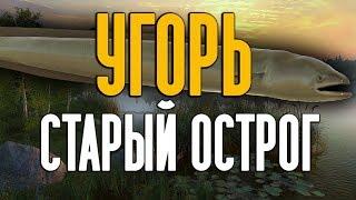 РУССКАЯ РЫБАЛКА 4. Как поймать Угря на Старом Остроге !?