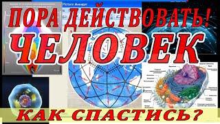 Меч Правды. Кого вразумит, кому голову с плечь! Сергей Юровских