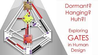 Understanding Active, Hanging, and Dormant Gates in Human Design
