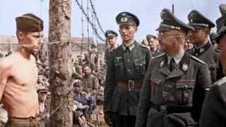 Nazi Savaş Zamanı Suçluları Belgesel izle