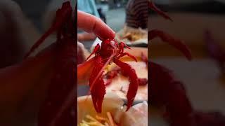 Ever EATEN a CRAYFISH???